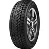 Anvelope iarna 215/65 R16 DELINTE WD1 98H 